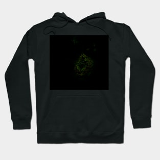 Digital collage and special processing. Dark, scary place in woods. Hole. Green. Hoodie